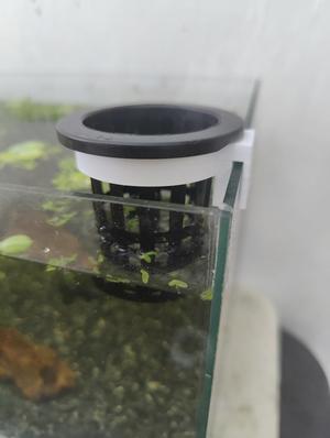 Aquarium Net Pot Clip(2 inch pot, 3mm glass)