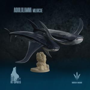 Aquilolamna milarcae : Graceful Swimmers