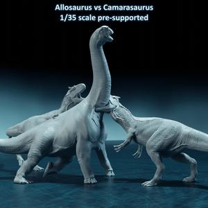 Allosaurus vs Camarasaurus 1-35 scale pre-supported dinosaur