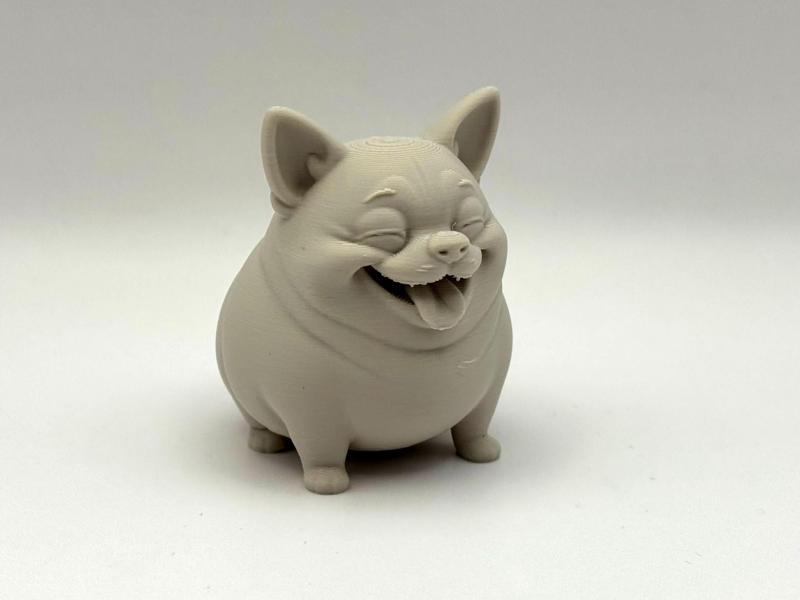 Chonk Chihuahua