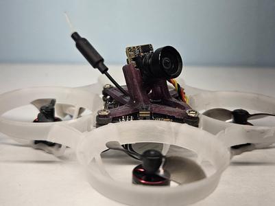 Tiny Whoop Canopy