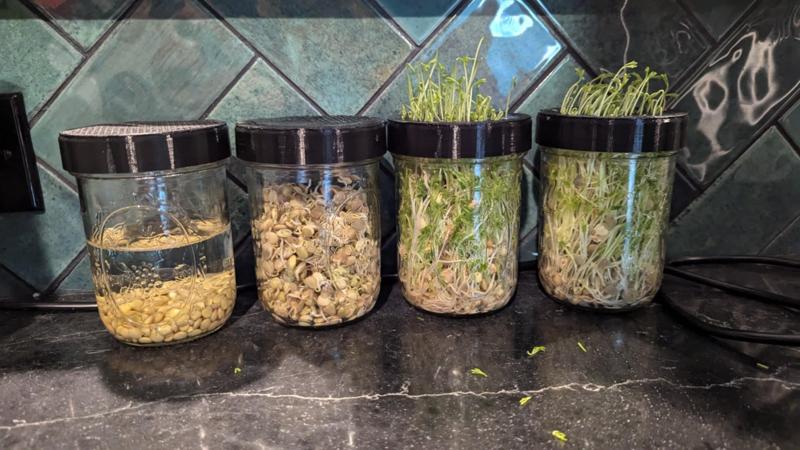 Mason Jar Strainer Lid