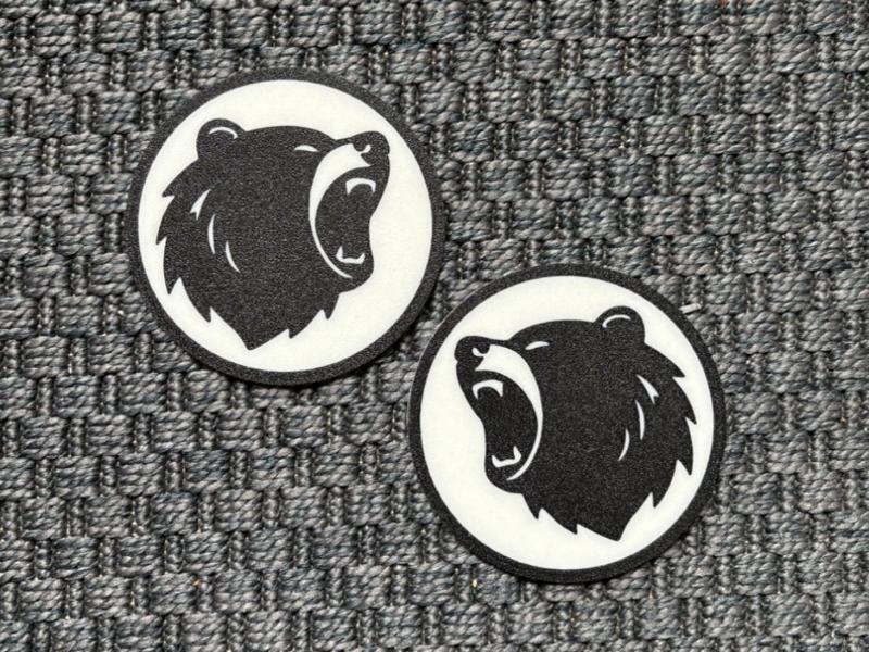 Bear Roar Coaster
