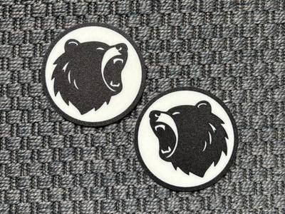 Bear Roar Coaster