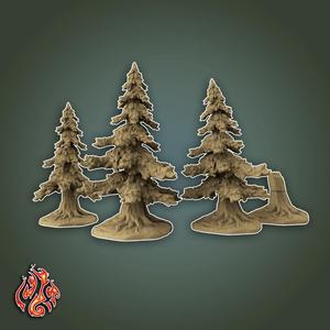 Fir trees