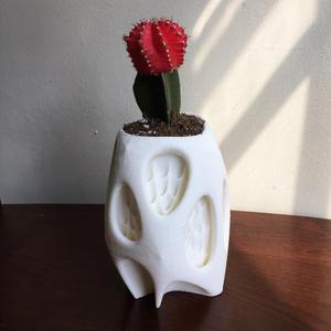 Cactus Vase