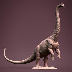 Brontosaurus male