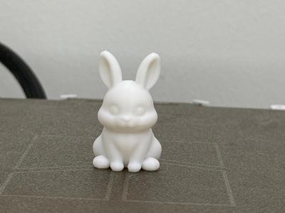 Cute Bunny Model (FREE COMMERCIAL LICENSE)