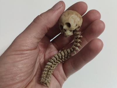L'ANTISTRESS DEL PREDATOR (FULLY ARTICULATED)
