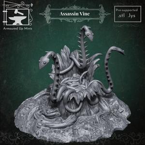 Assassin Vine