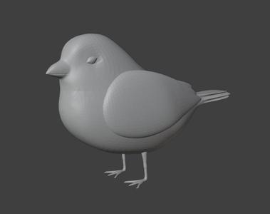 bird 