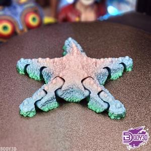 Articulated Starfish