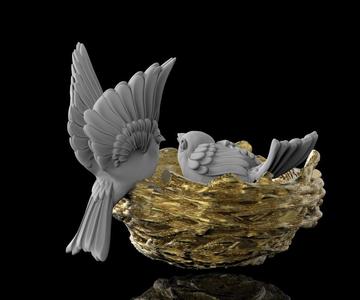 birds and nest