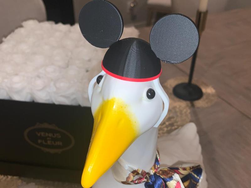 Porch Goose Mickey Ears Hat