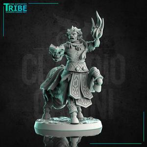 (0239) Male centaur summoner wizard with a magic book and spell