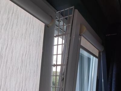 Cat Window Protection Grid
