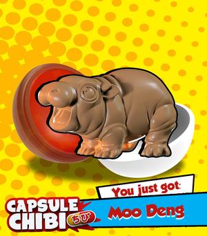 Moo Deng