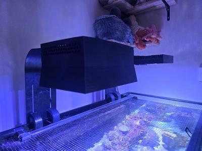 AI Hydra 26HD Shade