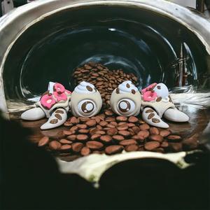 Coffee and Donuts Turtle