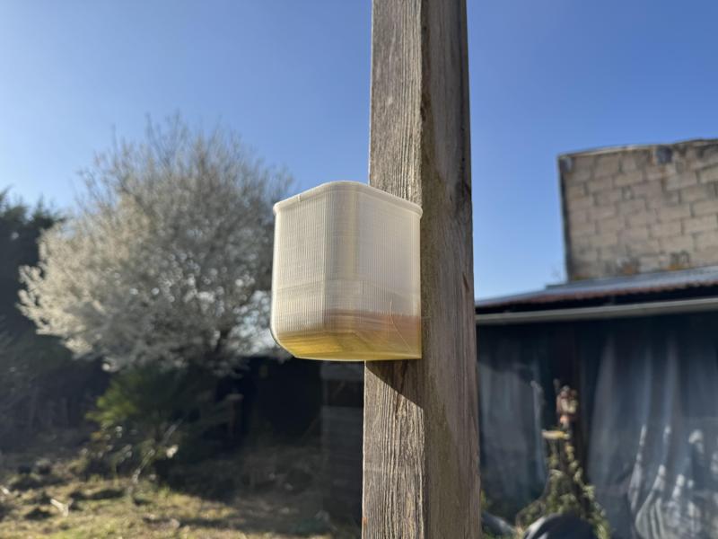 Asian Hornet Trap