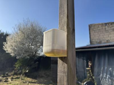 Asian Hornet Trap