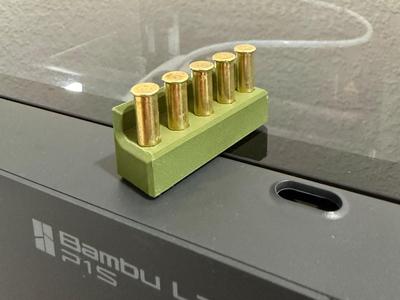 22lr bullet caddy