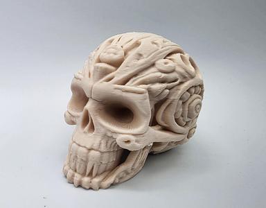 Carved Stone Skull