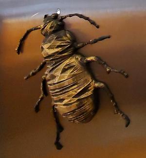 Beetle3