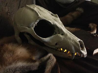 Shaman Mask
