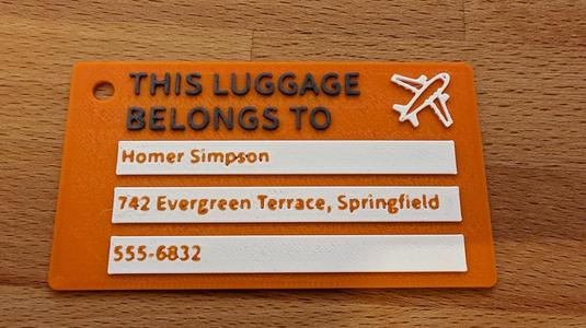 Homer Simpson Luggage Tag - Test or Fun print