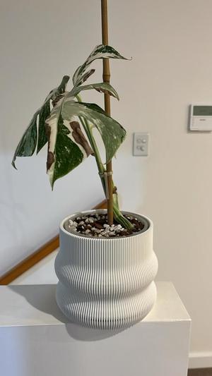 14mm pot