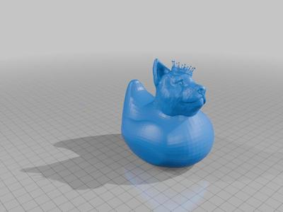 Kalmar Wingfeather Rubber Duck