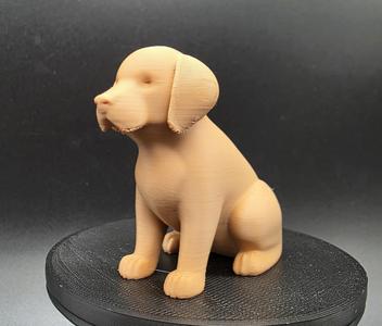 Sitting Dog