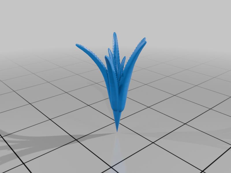 aloe without pot
