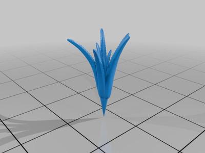 aloe without pot