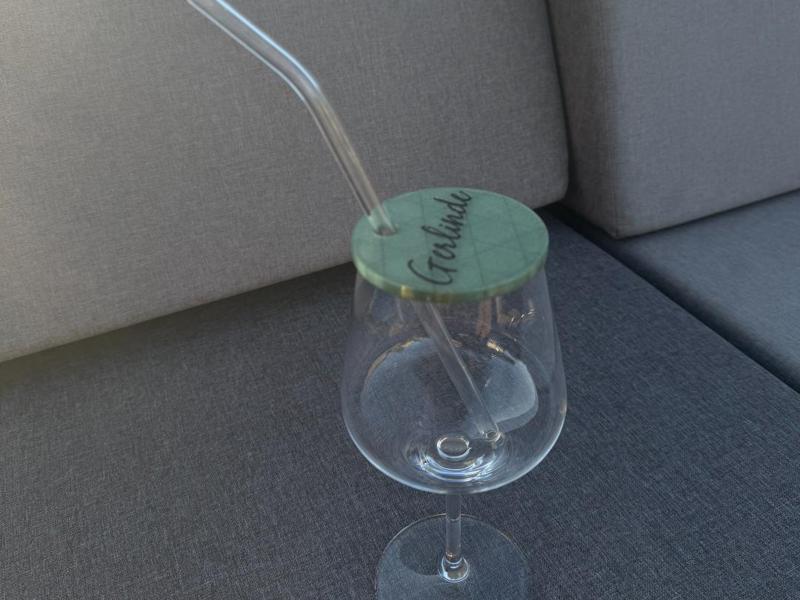 Wine Glass Fly Protection with Name 