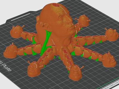 Dwayne the shrektopus