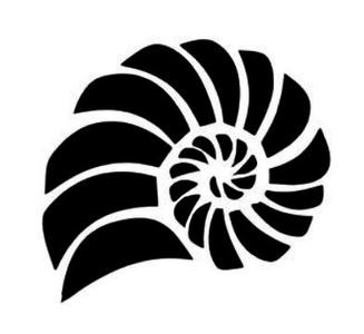 Shell Stencil