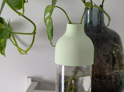 Glass jar vase