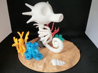 Horsea sekeleton