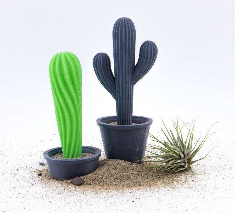 Cacti with Pots