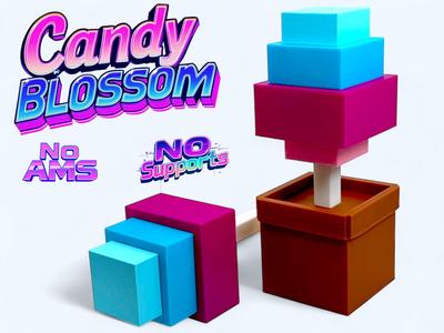 Candy Blossom