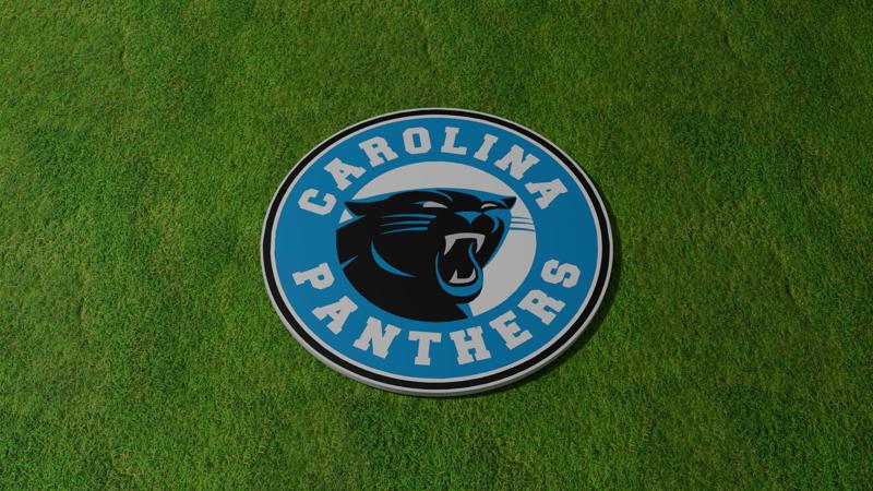 Carolina Panthers Coaster