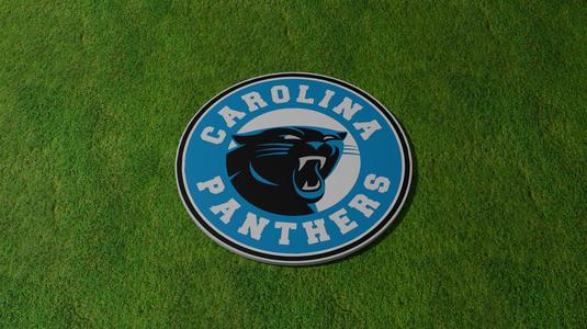 Carolina Panthers Coaster