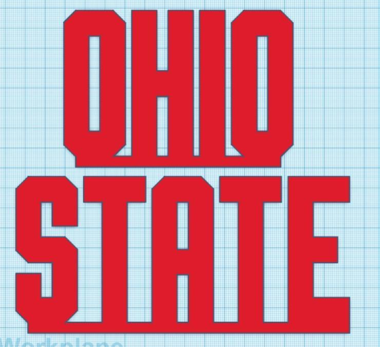 Ohio State Decor
