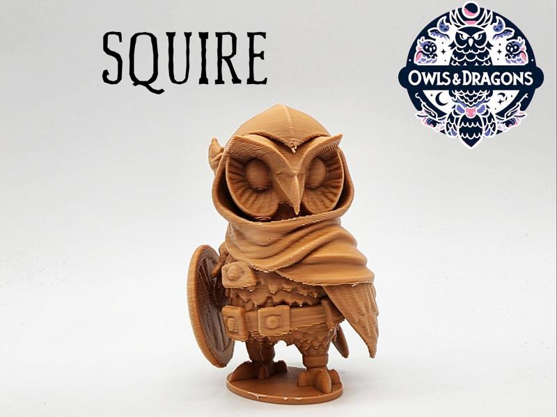 The Squire - Owls & Dragons