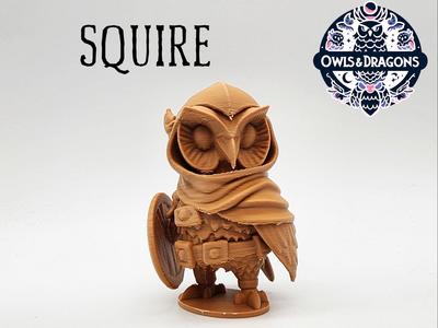 The Squire - Owls & Dragons