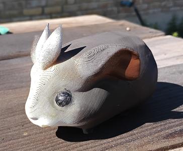 Guinea Pig Paint Your Own Model