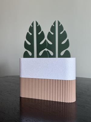 Cacau Bookend