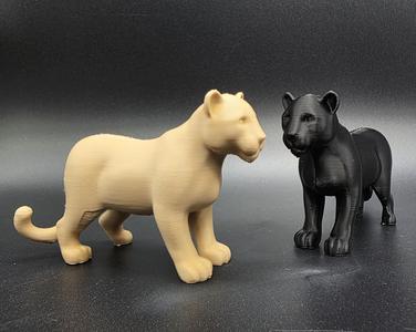 Jaguar Model